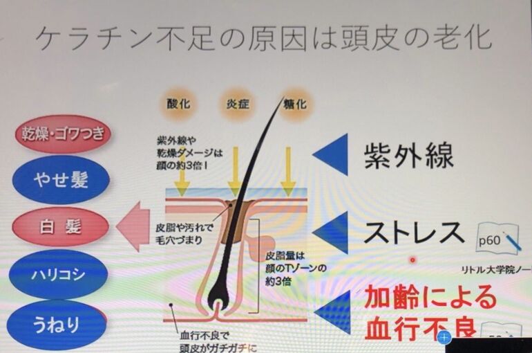 66FC5403-E5B5-4102-9A32-0600501CE2EF